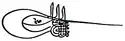 Tughra of Bayezid II