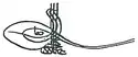 Tughra of Osman II