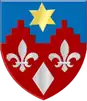 نشان ویدوم