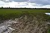 Wendlebury Meads