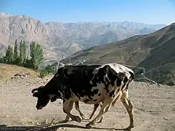 روستای آبگرم