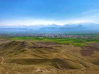 میشوداغی