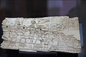 سکاکز
